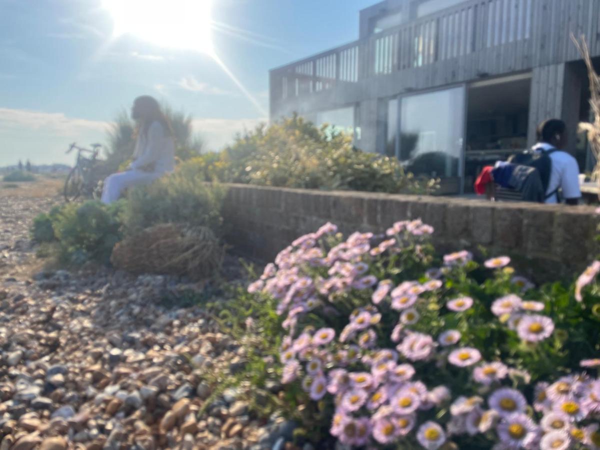 Scandi Beach Shoreham-by-Sea Eksteriør billede